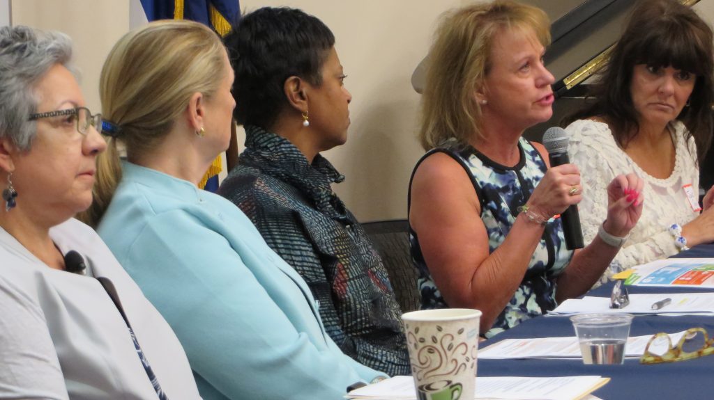 Vail Valley Partnership Panel