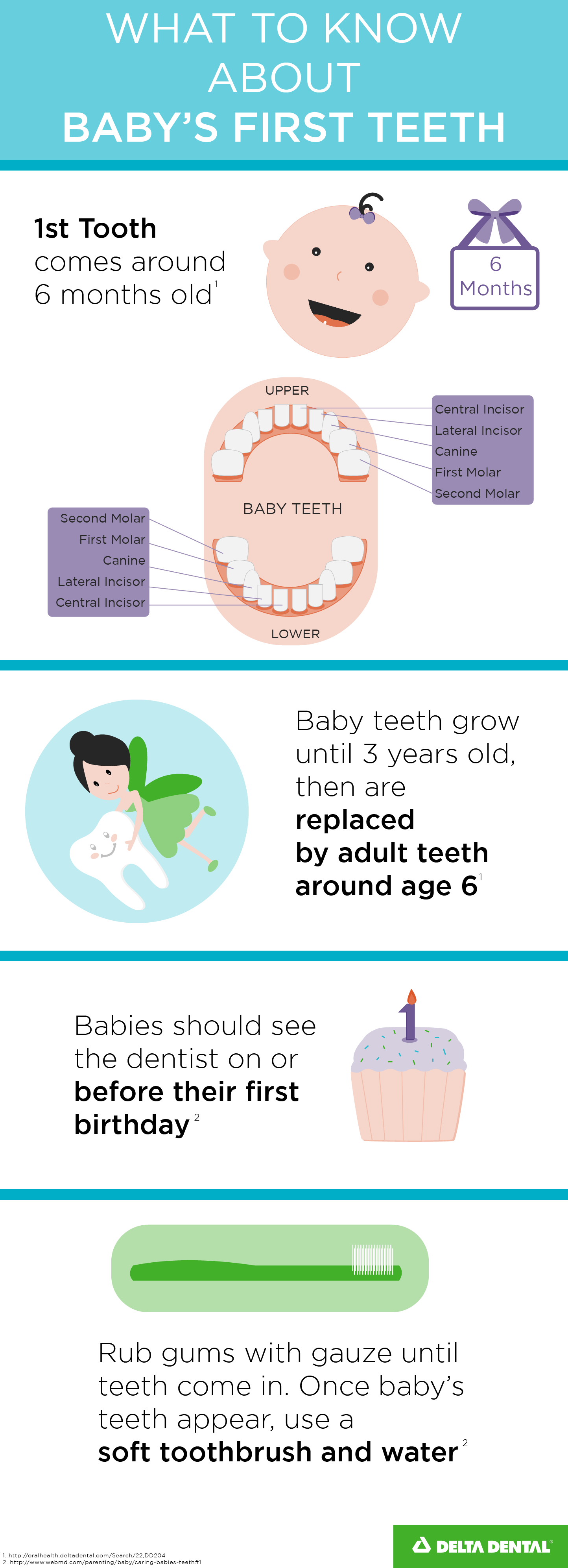 how to care for babies teeth and gums