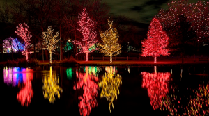 Brightly lit trees at A Hudson Christmas